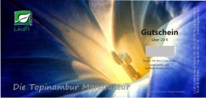 gutschein-blaue-bluete-25eur-geschenkgutschein-ueber-20-eur-fuer-unseren-topinambur-shop